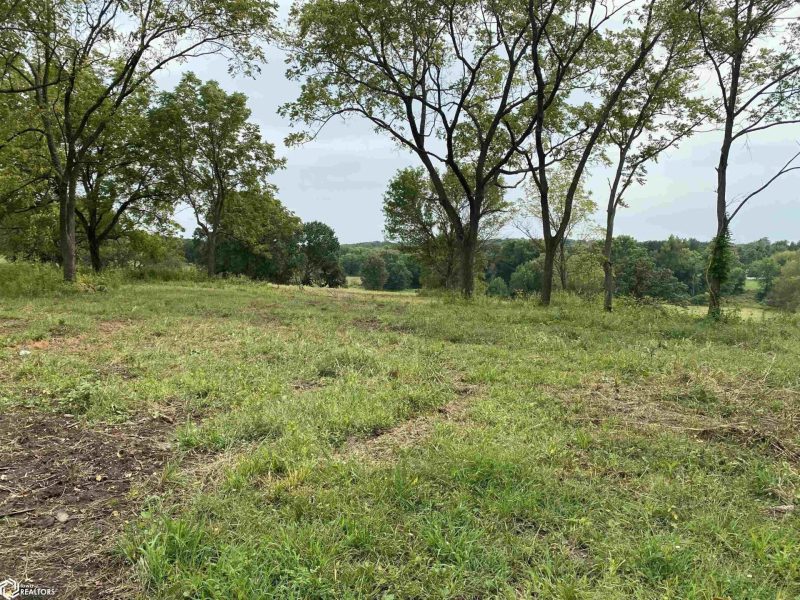 LOTS & LAND at 000 Hwy J29, Centerville, 52544 Iowa - Listing ID 6309381 by Charles Kenyon Jr.